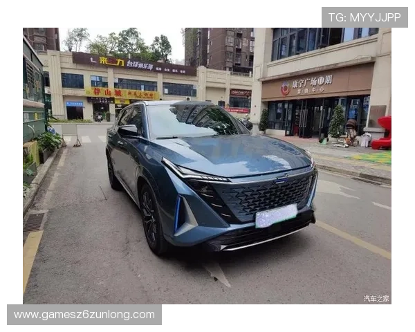 Z6用现最新版本常见故障排查与修复方法，确保游戏体验顺畅无忧